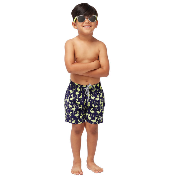 Tom & Teddy Boy's Flamingos Swim Trunk | Dark Blue and Yellow