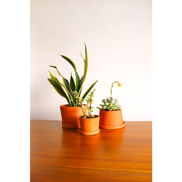 Michiko Shimada Terracotta Mini Planters Set of 3 | Set B